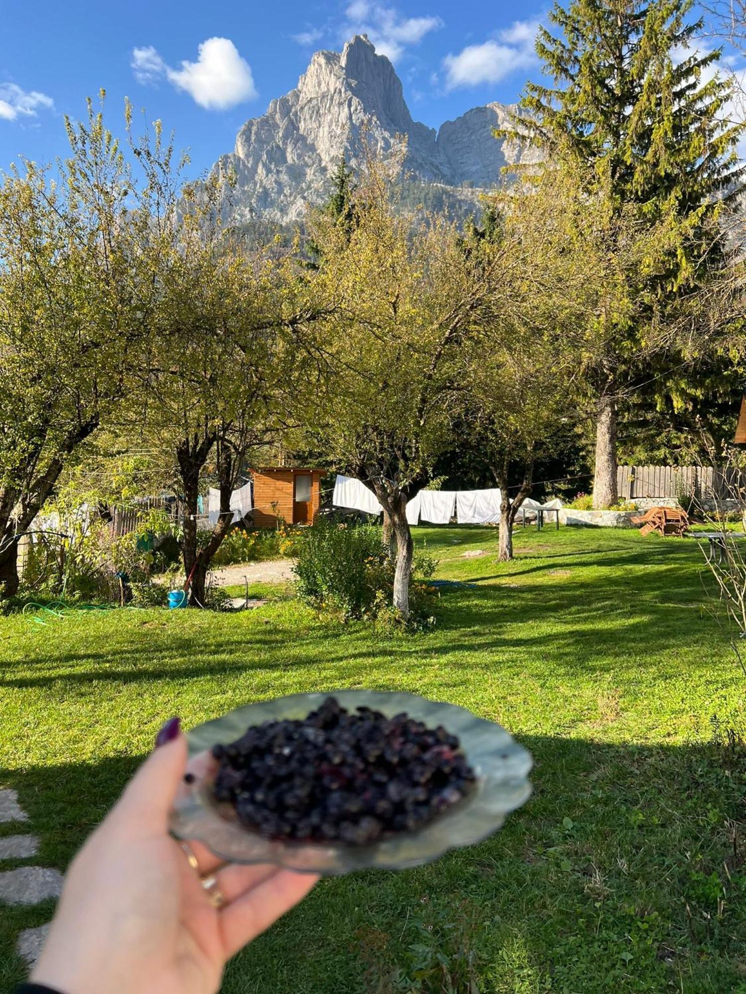 ヴァルボナ Bujtina Arlindi Bed & Breakfast エクステリア 写真